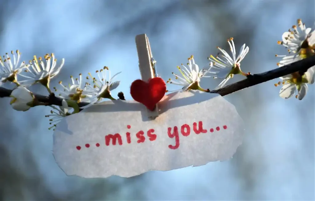 45 Heartfelt I Miss You Quotes for Him to Show Your Love